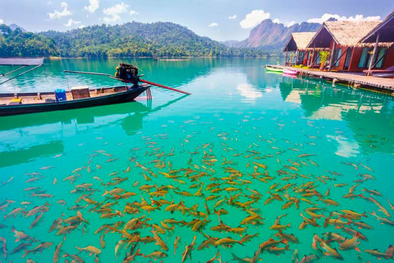 Экскурсия в Као Сок на озеро Чео Лан с Пхукета вид 4