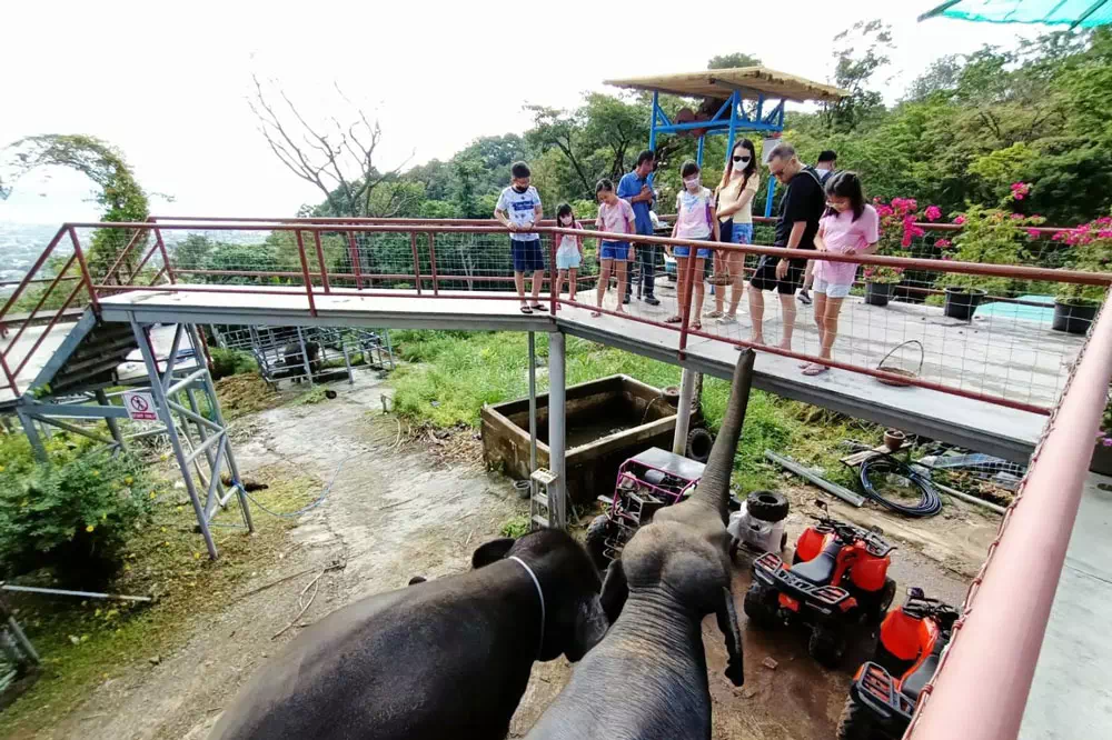 Экскурсия квадроциклы на Пхукете вид 14