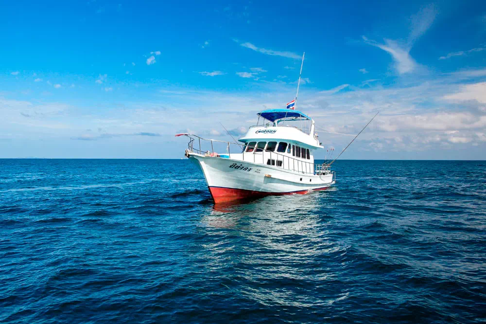 Морская рыбалка с троллингом на Пхукете вид 10