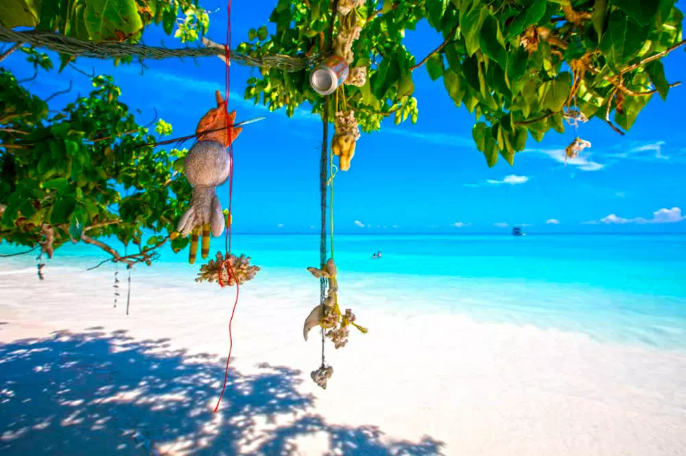 Экскурсия на Симиланские острова с Пхукета вид 3