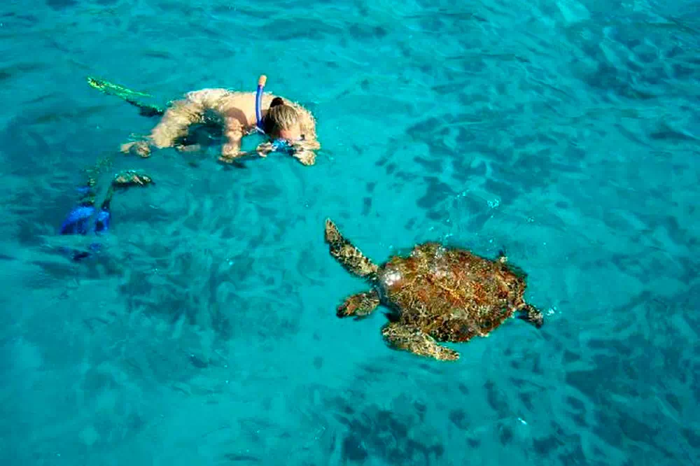 Экскурсия на Симиланские острова с Пхукета вид 10