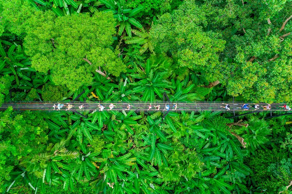 Skywalk Мир Ханумана