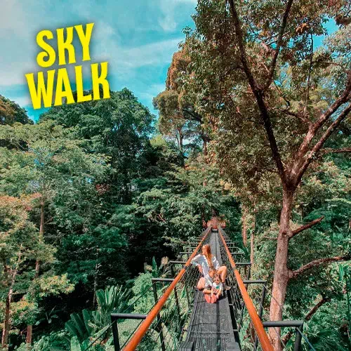 Мир Ханумана зиплайн вид 8