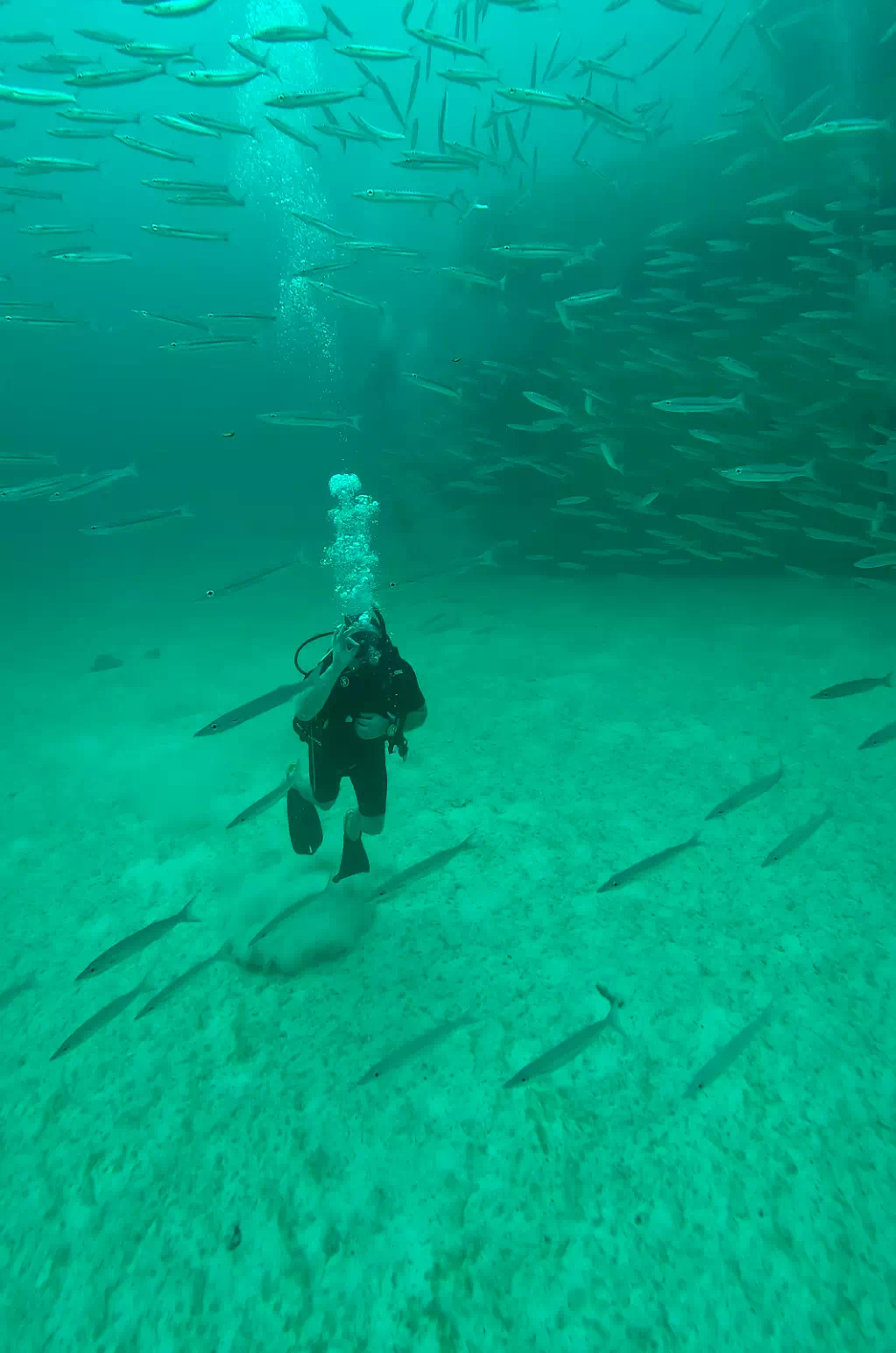 Дайвинг на Пхукете