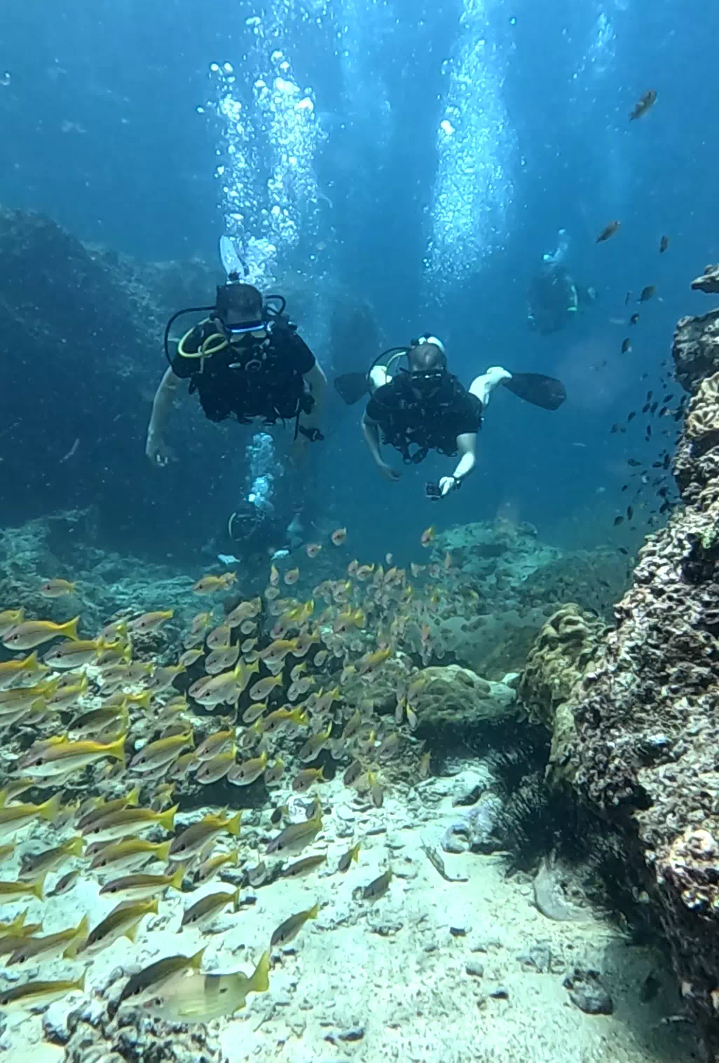 Дайвинг на Пхукете