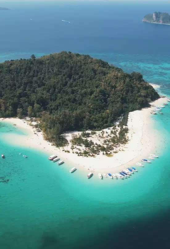 Пхи Пхи подводный мир фото 6